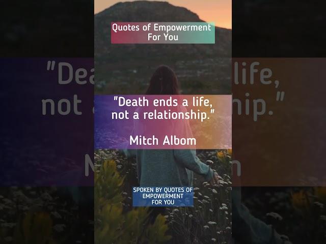 Mitch Albom - 100 Famous Quotes Challenge! Quote 14 #mitchalbom #shorts #wisdom #foryou