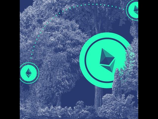 MEV Dark Forest: The Mystery Behind Ethereum Frontrunning