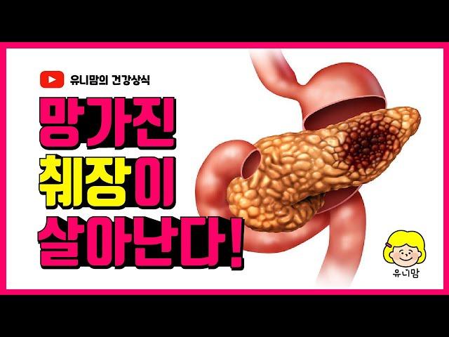 췌장염에 좋은음식 TOP6| '이 음식'을 자주 먹으면 췌장암 예방에 최고 (Food Good for Pancreatitis Top6)