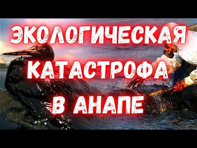 Экологическая катастрофа в Анапе. О купании в море и вкусной рыбе теперь можно забыть, жуткие кадры