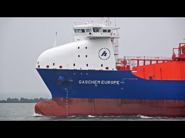 MARINE TRAFFIC AT THE PORT OF ROTTERDAM NETHERLANDS - 4K SHIPSPOTTING OCTOBER 2024