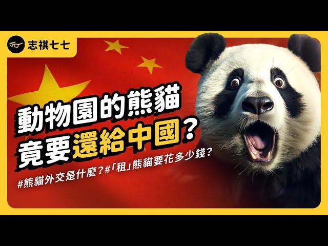 The Price of Panda Diplomacy: What It Costs to 'Rent' from China and Why They Return｜shasha77