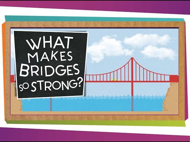 What Makes Bridges So Strong? | Engineering for Kids | STEAM | SciShow Kids