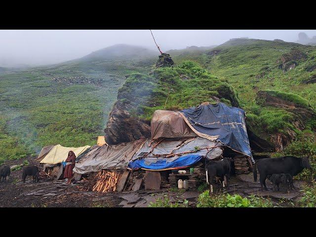 Best Life The Nepali Mountain Village During The  Rainy Time |Organic Food Cooking |Real Nepali Life