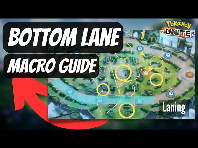 Bottom Lane Guide for Better Win Rate