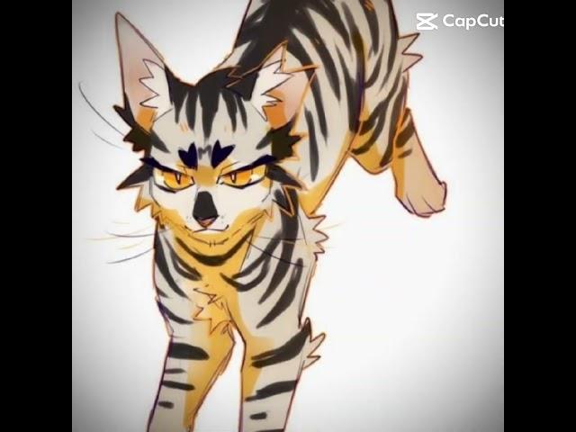 Longtail and Crookedstar || #warriorcats #edit {@Cloudy-Editz}