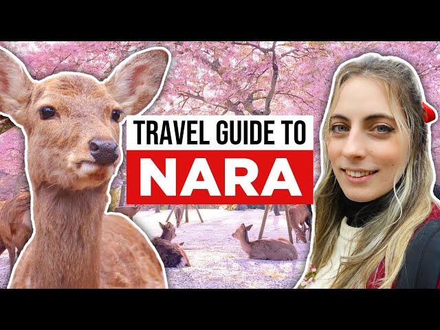 Ultimate Guide to NARA, JAPAN