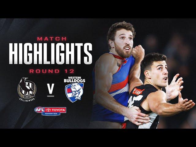 Collingwood v Western Bulldogs Highlights | Round 12, 2024 | AFL