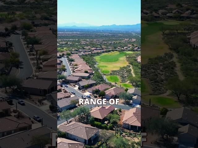 What Will You Find In Dove Mountain?