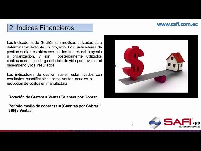 SAFI ERP Inteligencia de Negocios Introducción