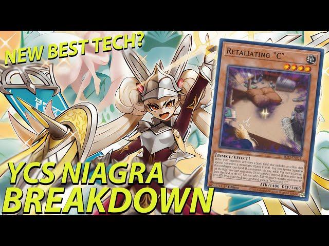 YCS Niagra Breakdown + Channel Announcement