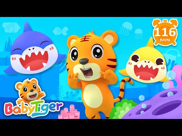 Baby Shark | The Wheels On The Bus + More Kids Songs & Nursery Rhymes & Animals Songs - BabyTiger