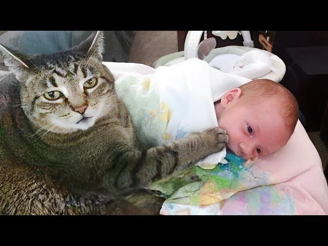 When your cat is the best babysitter ever ️Cute Cats and Human