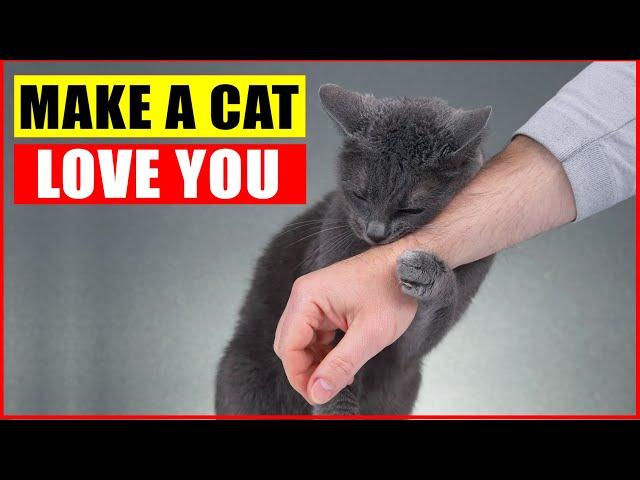 10 Scientific Ways to Get a Cat to Like You