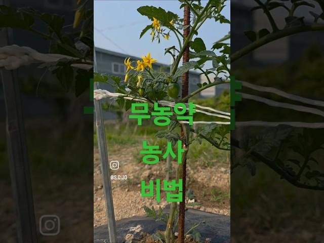 무농약 농사짓는 발뛰중 캠프데이즈 짜투리땅 국유지 내땅만들기 비책 문의 뛰발중