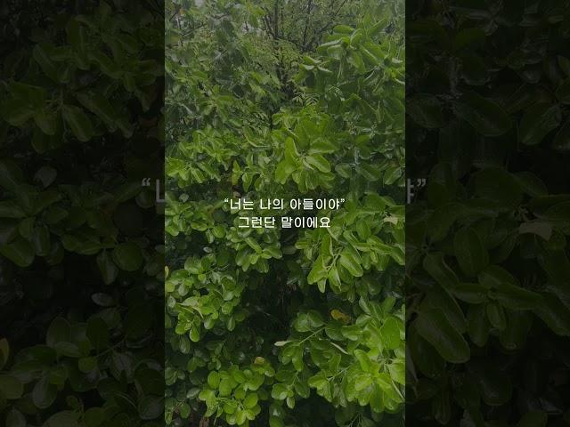 성문침례교회 성문기독학교 하바예 | 아버지와 아들 | 최사무엘 목사