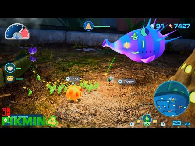 Pikmin 4 - Sunwashed Plateau Night - Protect Lumiknoll from Creature Blow Wind! - Blossoming Arcadia