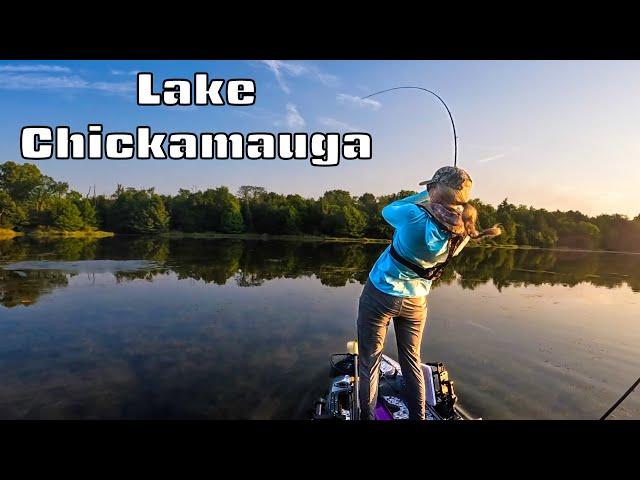 Spontaneous Tournament Fishing On Chickamauga Gone Wrong