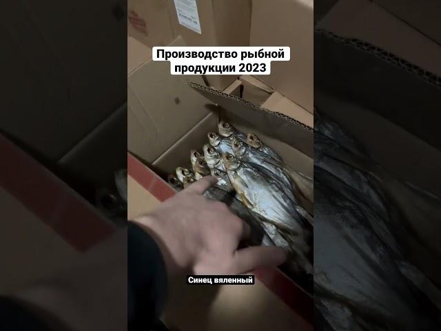 Снять полный обзор на рыбное производство? #рыба #вяленнаярыба #вобла #астрахань