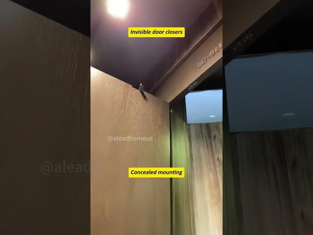 Invisible door damping door closer #hinge #hinges #hardware #kitchencabinet #kitchencabinets