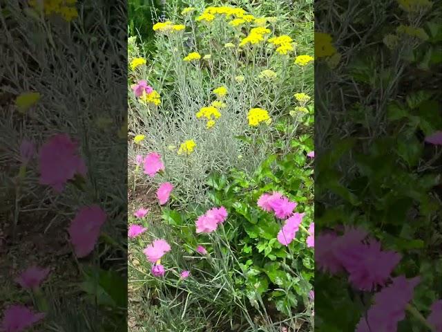 도심속 비밀의 정원.( Secret gardens in the City. )