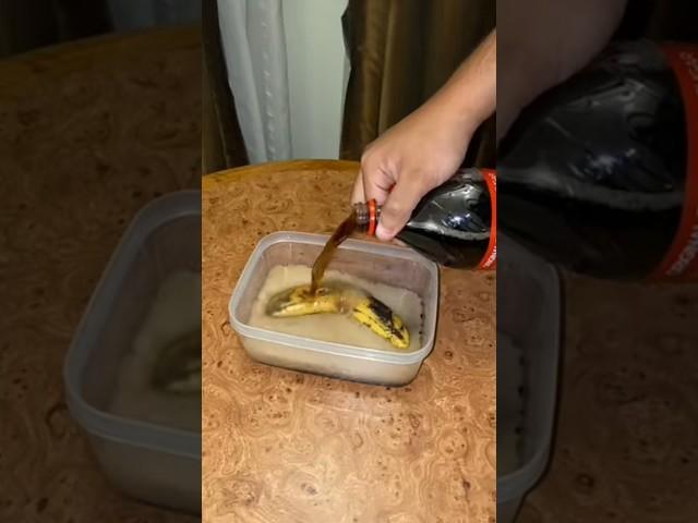 Banana And Coca-Cola science hack || #shorts #shortvideo #shortsfeed #banana #cocacola #science
