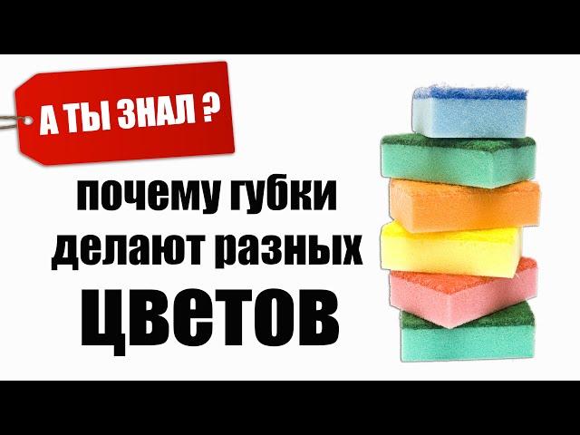 Почему ГУБКИ для Мытья посуды РАЗНЫХ ЦВЕТОВ. А ты знал?