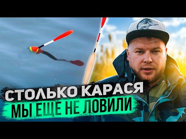 СТОЛЬКО КАРАСЯ МЫ ЕЩЁ НЕ ЛОВИЛИ