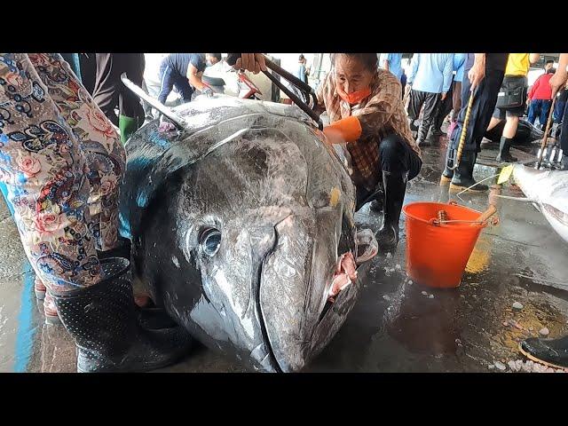 400kg Giant Bluefin Tuna and Marlin Catching and Cutting - Taiwan Street Food