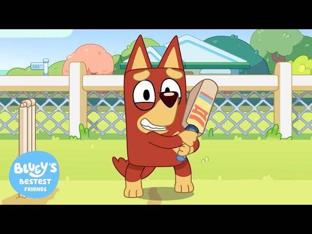Cricket  | New Series 3 Clip | Bluey's Bestest Friends - Official Channel