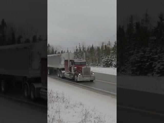 Flat Top W900 Kenworth #shorts  #truckspotting