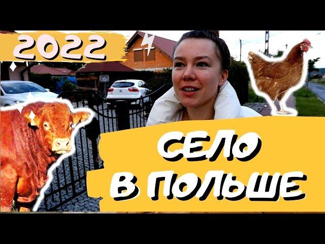 ПОЛЬСКОЕ СЕЛО. МЫ В ШОКЕ! ДРУГОЙ МИР. ЖИЗНЬ И РАБОТА В ПОЛЬШЕ 2022. УКРАИНЦЫ В ПОЛЬШЕ