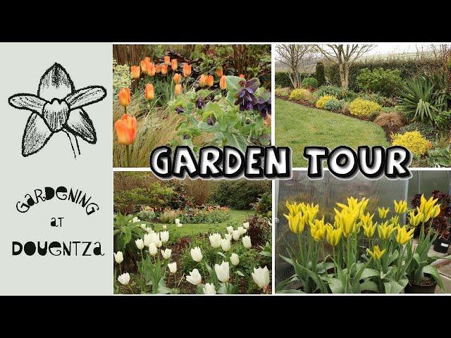 April Garden Tour || Tulips, Compost Project & Result of Peony Move