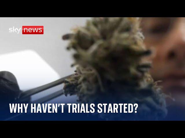 Still no medical cannabis trials for NHS - five years on from legalisation