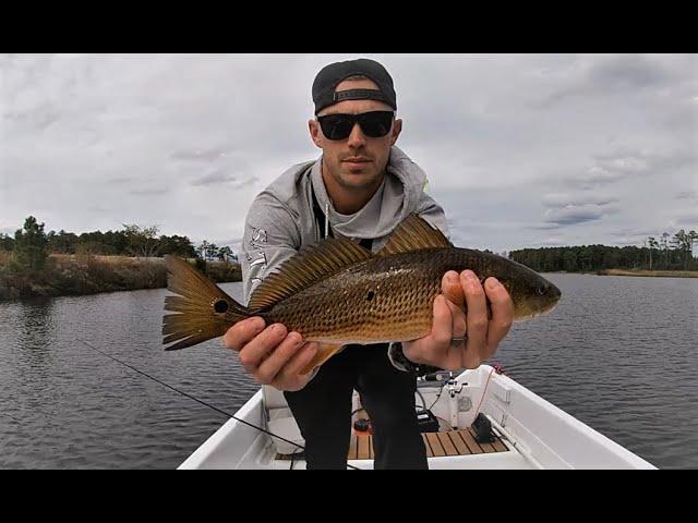 Jigging for Redfish and Speckled Trout in Elizabeth River!