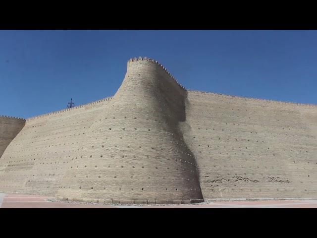 Ark Fortress