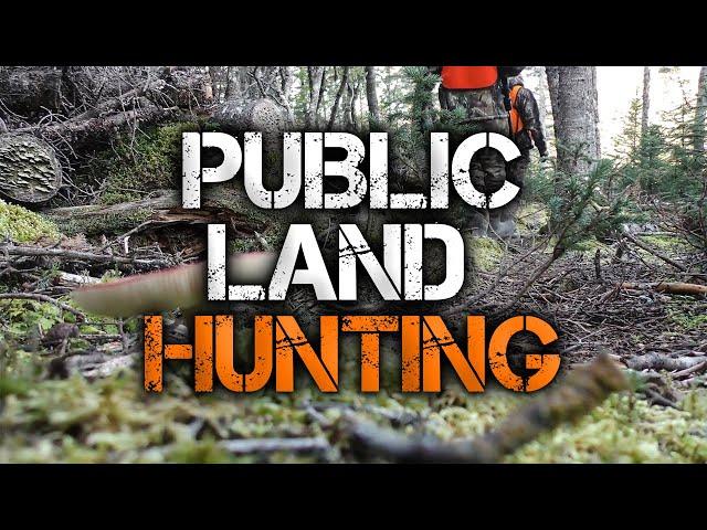 3 Must-Know Public Land Deer Hunting Tips