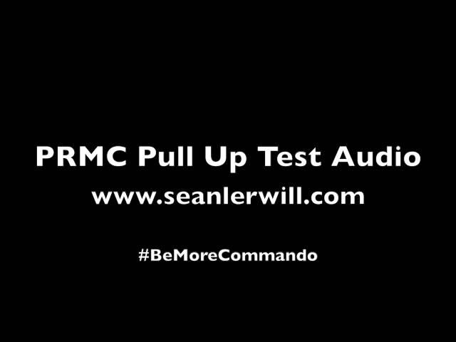 PRMC Pull up Test Audio