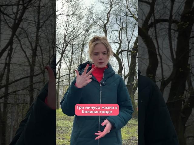 Минусы жизни в Калининграде  | Сервис бронирования «ЖилиБыли» #путешествия #интересно #калининград