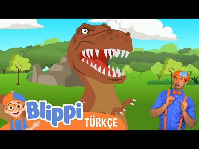 Blippi Dinazorları Öğreniyor - Fosilleri Çıkarmak | Çocuklar için eğitici videolar | Türkçe Dublajlı