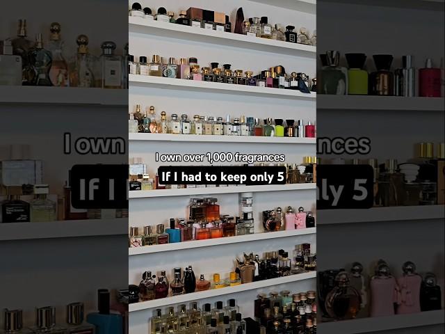 Only 5 fragrances for life out of my 1000+ collection #fragrance #perfume