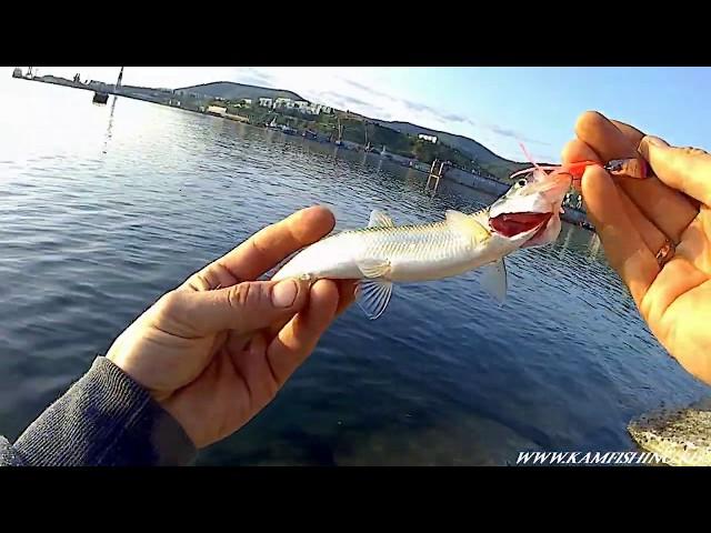 Rockfishing game - Камчатка