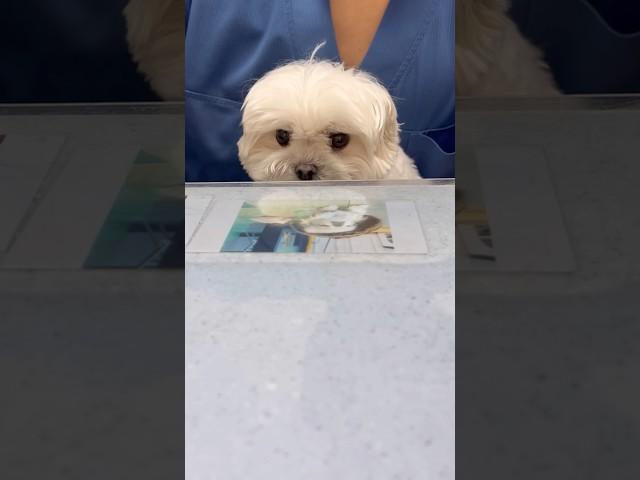 병원 진료꿍