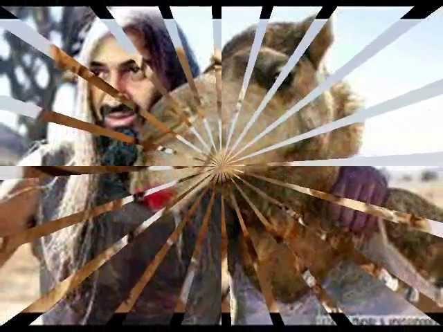 HAYOP NA COMBO saudi CAMEL "sonny layugan"