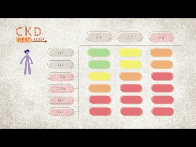 Kidney Disease Stages | CKD Heat Map | NKF