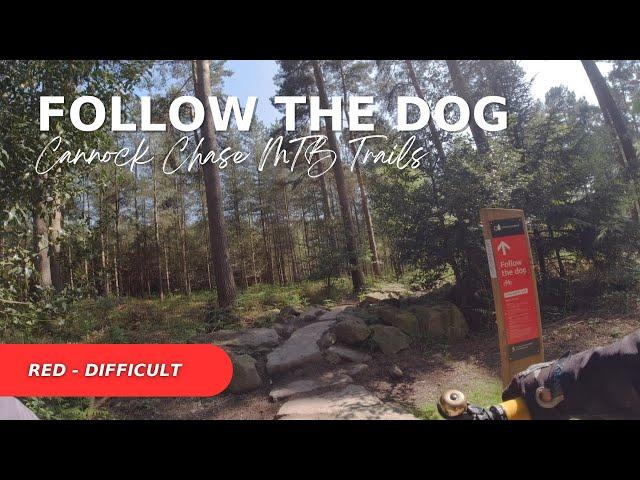 Cannock Chase MTB Trails - Follow the Dog - Difficult Red Trail