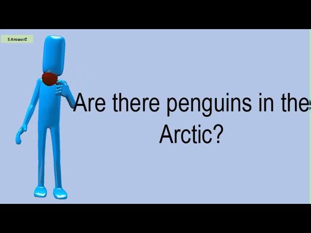 Are There Penguins In The Arctic?