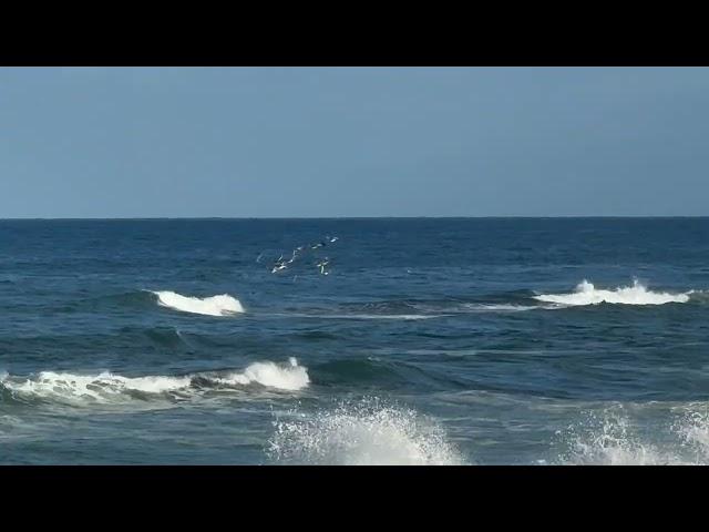 Windansea Beach - La Jolla - San Diego