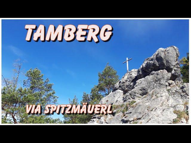 Tamberg  I  gemütlich auf den Hausberg des Pfarrers