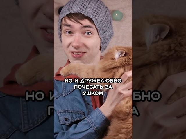 Перформанс - это НЕ только ТРЭШ #shorts #перформанс #театр